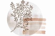 糖心vlog在线教学音画交织解析？绚烂！燃爆现场