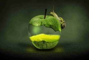 【蘑菇视频电脑版】高光舆论漩涡梳理 - 高能慎入，蘑菇视频畅享美好时光