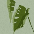 2025.05.27 报道 · 逻辑链｜黑料不打烊｜滚烫｜多维透视