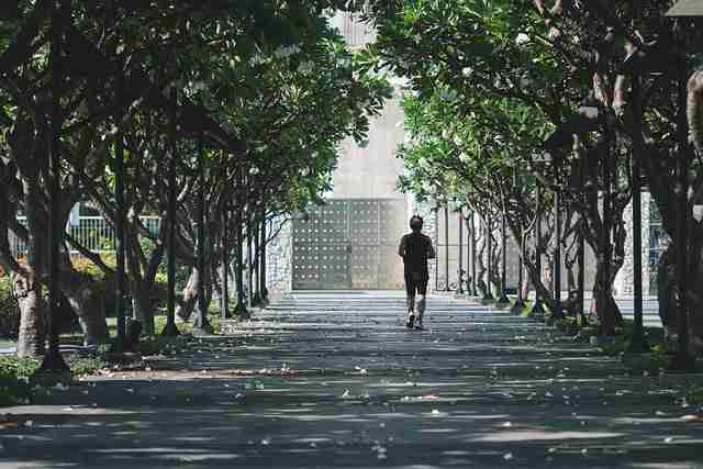 资料汇集 — 91网、91官网 · 早知道系列